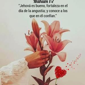 Meet your Posher, Mireya